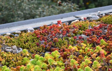 the cost of Davoch Of Grange green roof installation