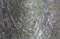 Davoch Of Grange fibreglass roof work